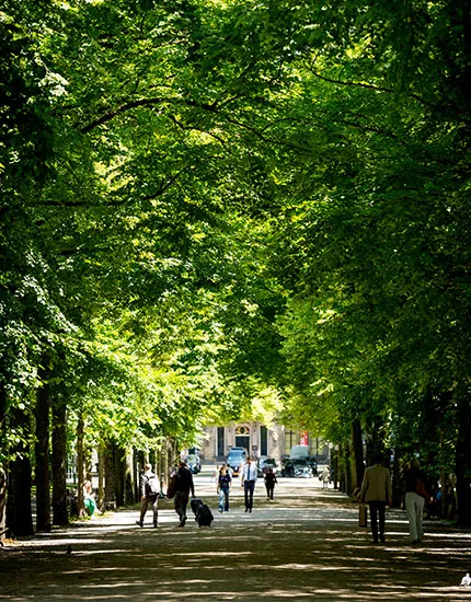 Bezoek het Wijn Festijn op het Lange Voorhout tijdens je verblijf bij Carlton Ambassador in Den Haag
