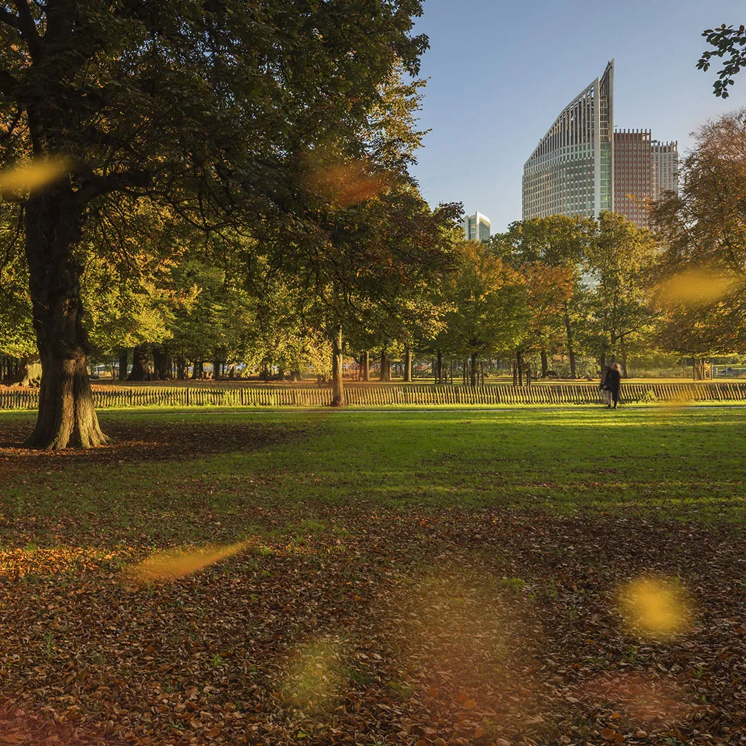 Autumn park in The Hague with falling leaves and the city skyline